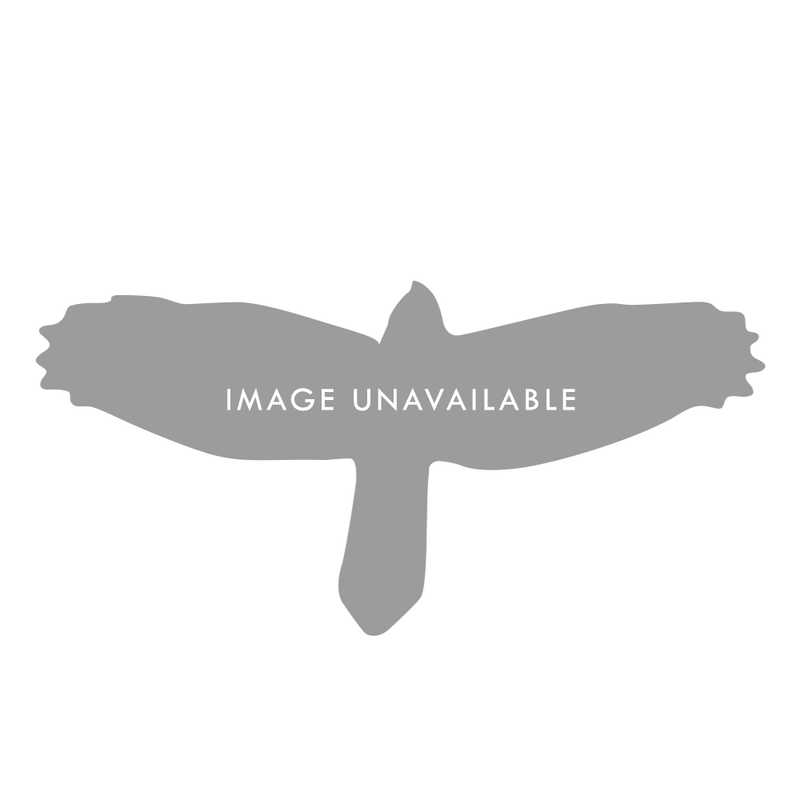 Tremolo Update Kit (Universal)