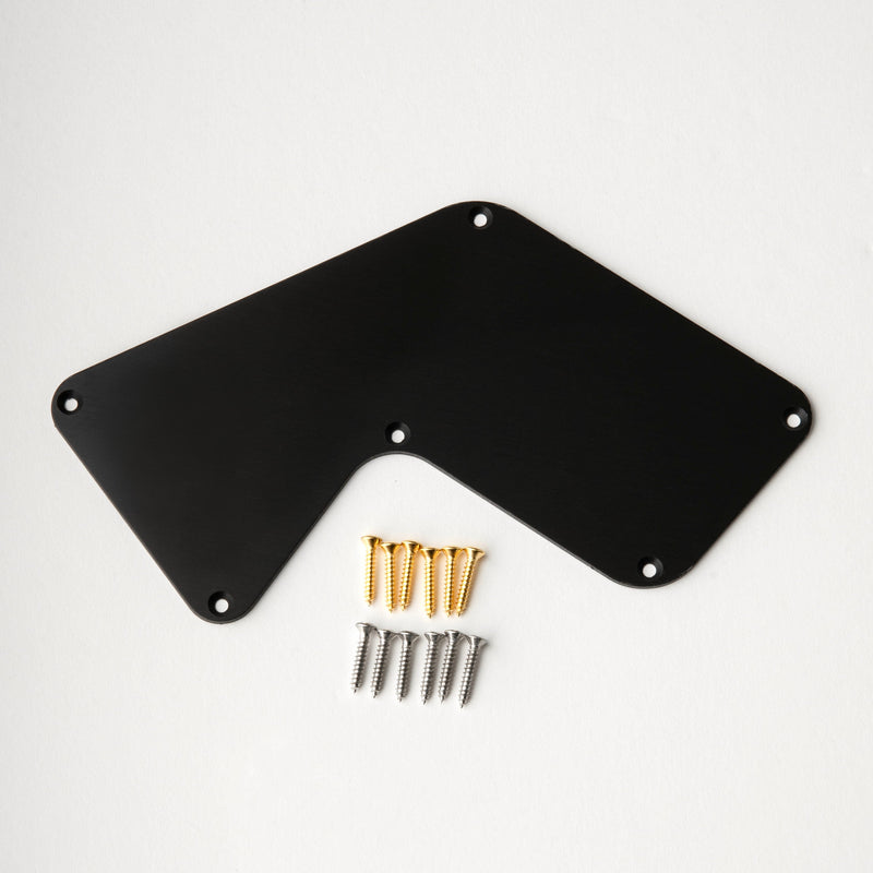 PRS Electronics Backplate, Polygon #1, Recess Mount (fits Modern Eagle V) ***New For Fall***