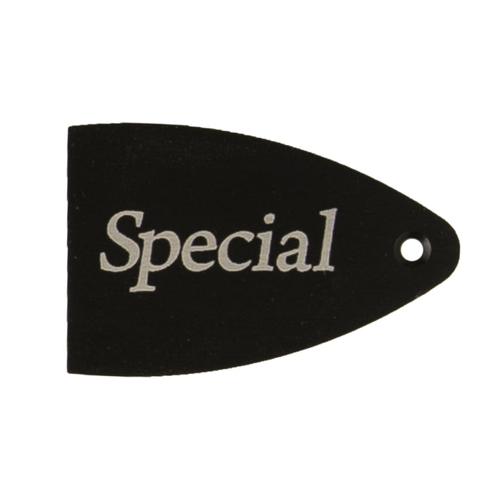Truss Rod Cover, Special
