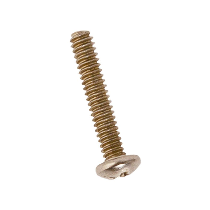 Silver Sky Bridge Intonation Screws (2)