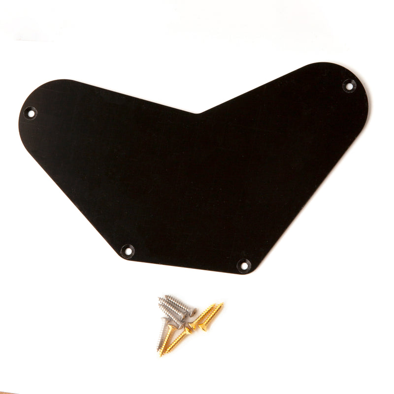 SE Bass Electronics Cover (Inset)