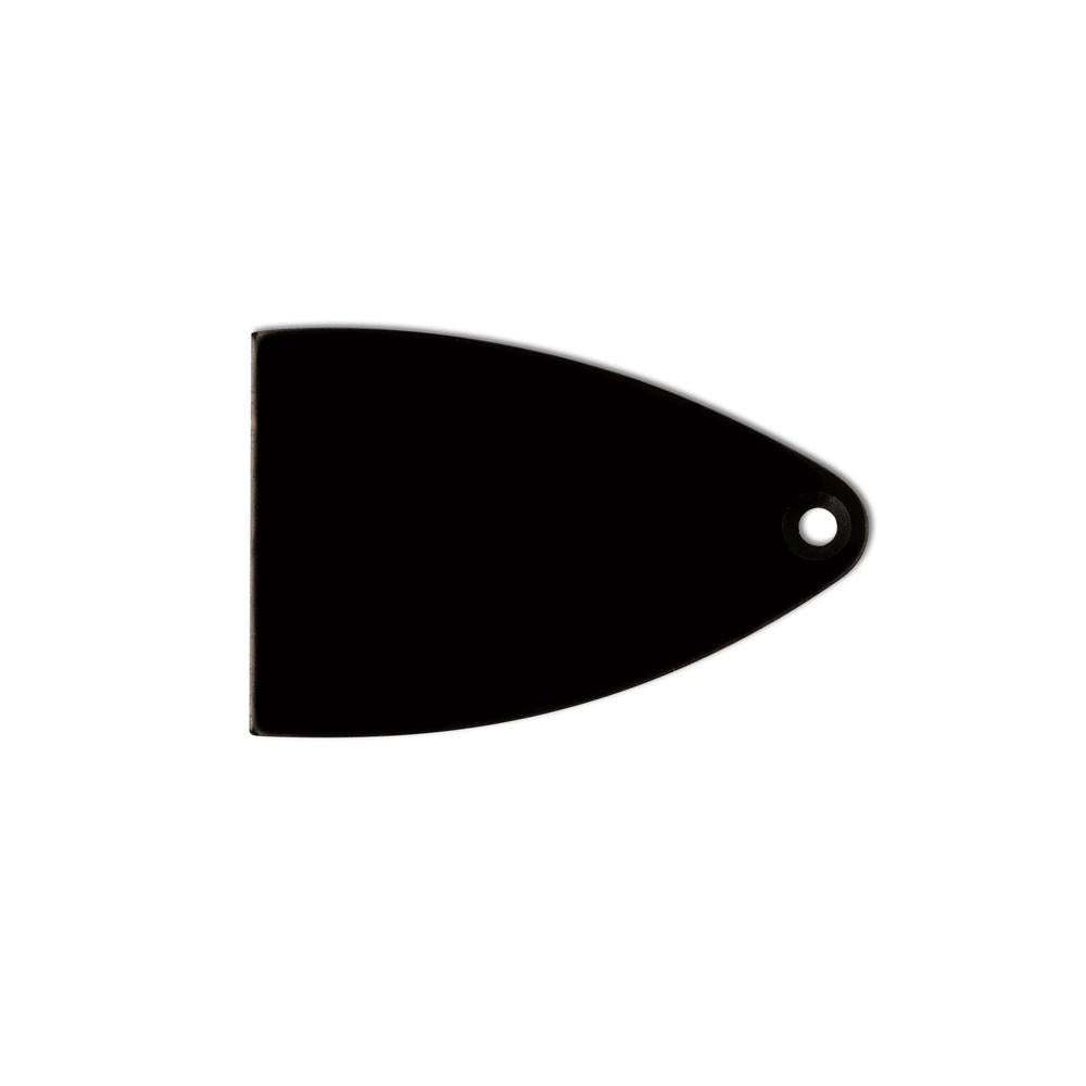 SE Truss Rod Cover